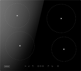 Induktionsfeld Reparatur Mühlhausen